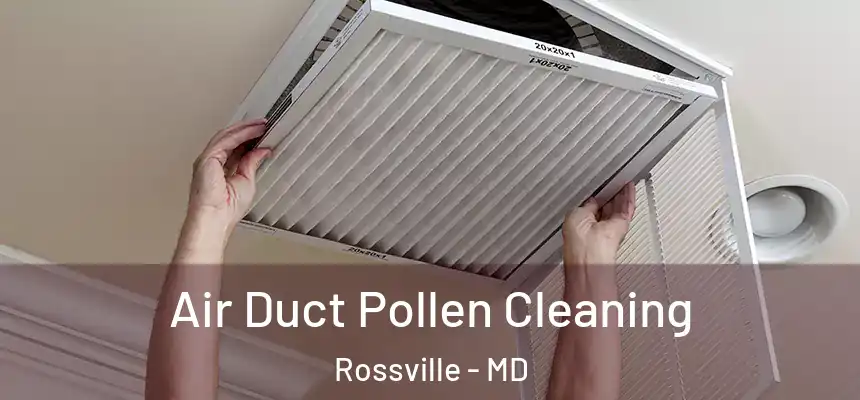  Air Duct Pollen Cleaning Rossville - MD