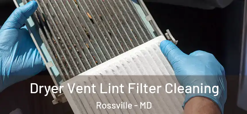  Dryer Vent Lint Filter Cleaning Rossville - MD