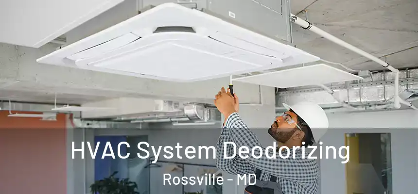  HVAC System Deodorizing Rossville - MD