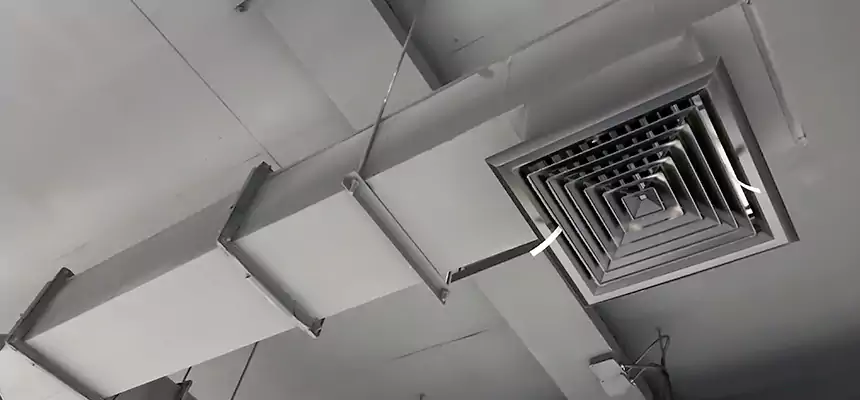 Our Rodent Droppings In Vents Services in Rossville, MD