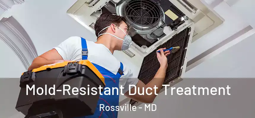  Mold-Resistant Duct Treatment Rossville - MD