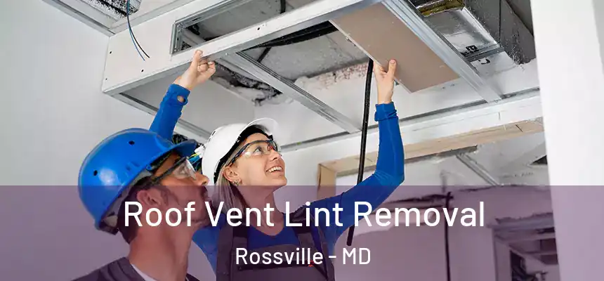  Roof Vent Lint Removal Rossville - MD