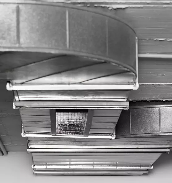 Professional Air Duct Pet Hair Removal in Rossville, MD