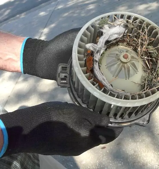 About Air Duct Rat Removal in Rossville, MD