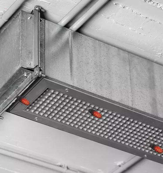 Affordable Insect Removal from Air Ducts in Rossville, MD